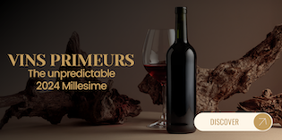 MEGA MENU EN VINS PRIMEURS.png